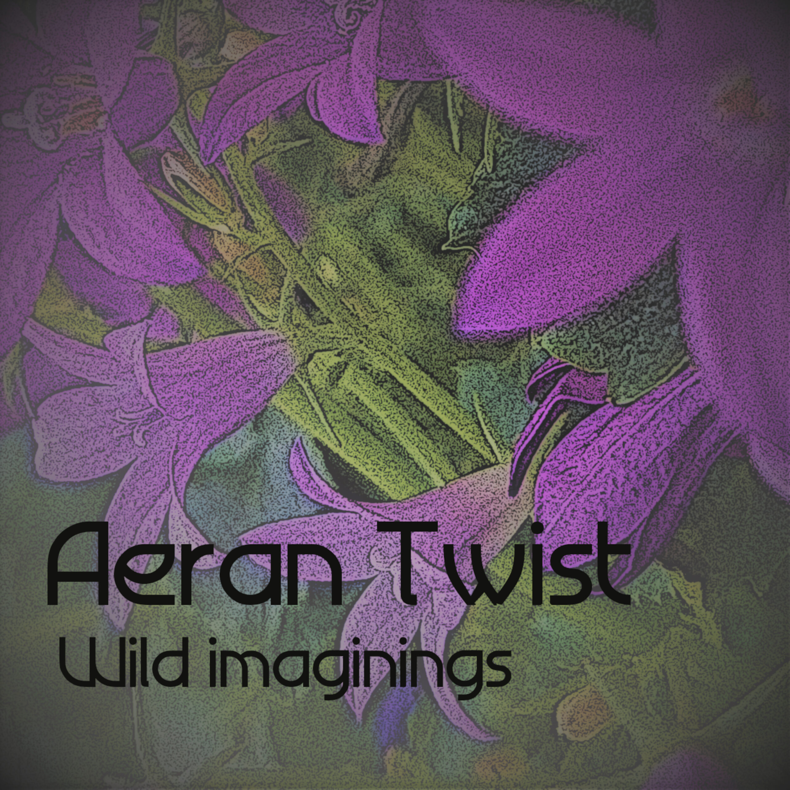 Aeran Twist Wild imaginings recto scaled